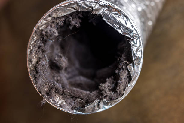 Best Best Air Duct Cleaning Company  in Lake Park, NC