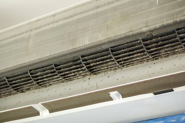 Best Emergency Air Duct Cleaning  in Lake Park, NC
